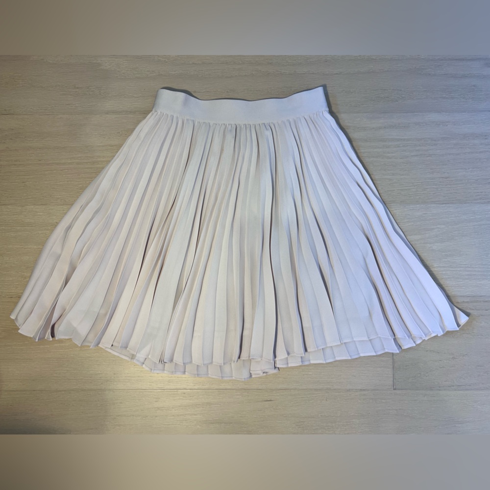Pleated Short Skirt